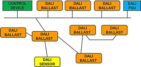 The DALI wired network Image of the DALI wired network