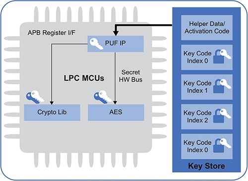 NXP's LPC55S processor family Diagram of NXP's LPC55S processor family