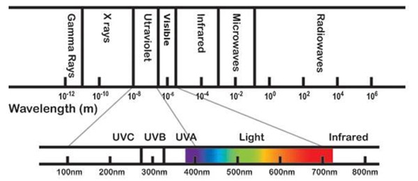 UV radiation falls just below visible light at a wavelength of between 100 and 400 nm תרשים קרינת UV נופל ממש מתחת לאור הנראה באורך-גל שבין 100 ל- 400 ננומטר