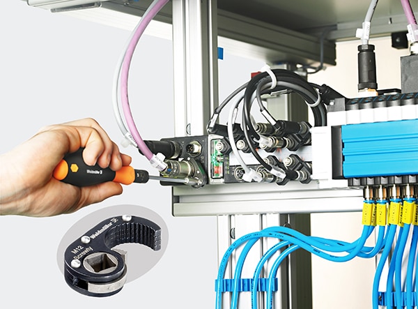 Standardization of M12 and M8 connector geometry Immagine della standardizzazione della geometria dei connettori M12 e M8