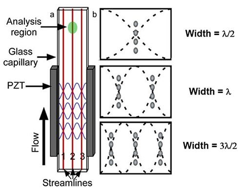 Acoustic flow cell made with a rectangular glass capillary Illustration of an acoustic flow cell made with a rectangular glass capillary