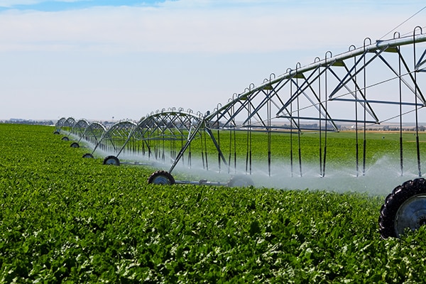 Linear-move irrigation design Billede af lineær vandingsdesign
