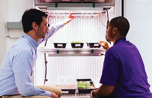 OSRAM is working with NASA on its Phytofy system to determine the optimum LED color, duration, and intensity for plant growth. (Image source: NASA)