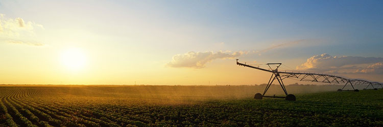 How a Capacitor Packaging Technology Will Change the Future of Farming