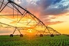 Image of Designing an Efficient Smart Irrigation System: Key Features and Strategies for Success