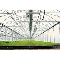 Amphenol's Indoor Growing and Agricultural Sensors Image of Amphenol's Indoor Growing and Agricultural Sensors