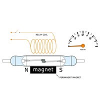 Latching Form B Reed Relay Form B Relay