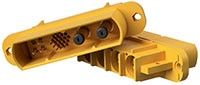 Great Golden (GG) Connectors Image of Great Golden (GG) Connectors