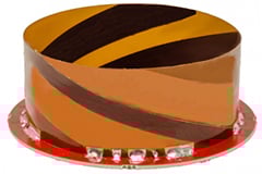 Helical Coaxial (HC) Antennas Image of Calian Helical Coaxial (HC) Antennas