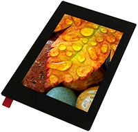 Electronic Assembly's (Display Visions') 3.5" Sunlight-Readable TFT IPS Display Image of Electronic Assembly's (Display Visions') 3.5" Sunlight-Readable TFT IPS Display