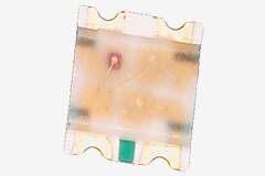 Image of QT Brightek's QBLP600 0606 LEDs