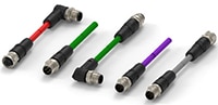 TE Connectivity AMP's M12 Industrial Ethernet Cable Assemblies TE Connectivity AMP 的 M12 工業級乙太網路組件的圖片