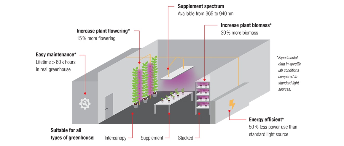 園芸用LEDの応用 園芸用LEDの応用