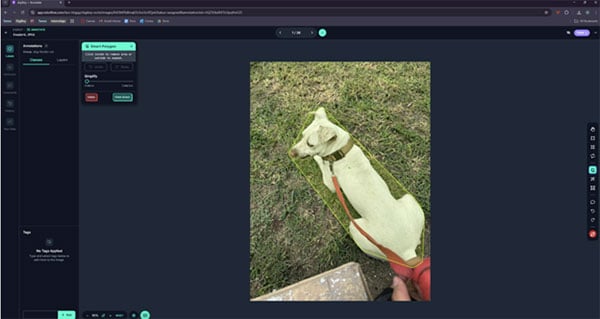 Create a Custom Object Detection Model with Photos Image of Create a Custom Object Detection Model with Photos