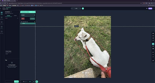 Create a Custom Object Detection Model with Photos Image of Create a Custom Object Detection Model with Photos