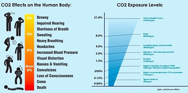 The effect of CO2 concentration on the human body image of The effect of CO2 concentration on the human body
