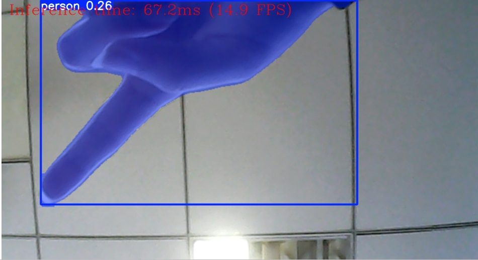 Instance Segmentation Task image of Instance Segmentation Task