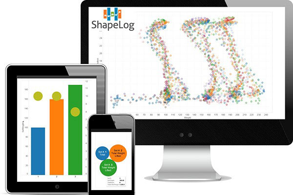 Shapelog Image of the Shapelog