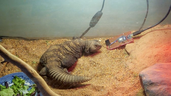 Leverage Over-the-Air Uploads with Arduino IoT Cloud image of Leverage Over-the-Air Uploads with Arduino IoT Cloud