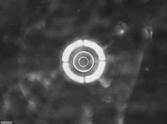 Aven Tools LED Lamp for Hydrogel's Edge Detection Aven Tools LED Lamp for Hydrogel's Edge Detection
