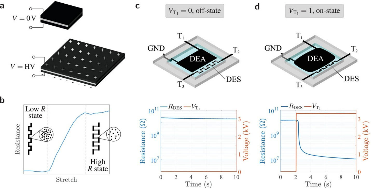 Dielectric Elastomer Switches: Building Logic Gates with Soft Membranes Image of Dielectric Elastomer Switches: Building Logic Gates with Soft Membranes