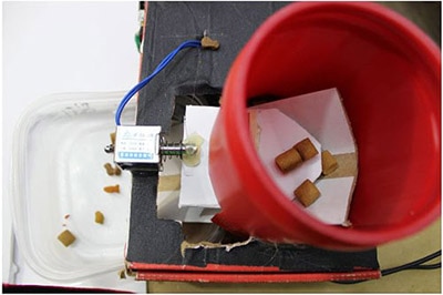 Use a Beaglebone to Track How Much Your Pet Eats