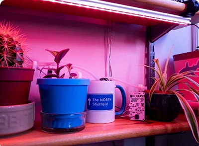 Plant Monitoring with Enviro Grow