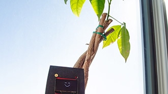 Smart Plant Care! Build a Qwiic Soil Moisture Sensor System