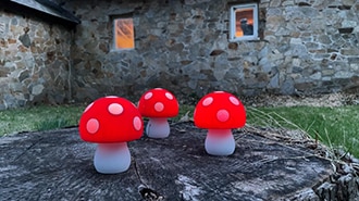 LED Mushrooms