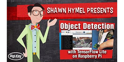 Screenshot of the TensorFlow Lite object detection video