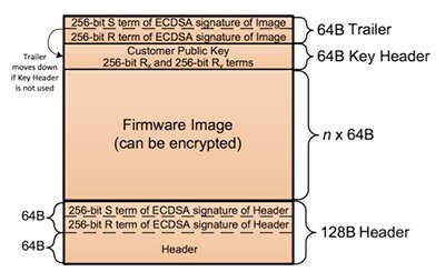 Diagram of Microchip image generation process