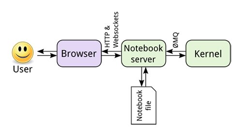 Jupyter 会话工作流示意图