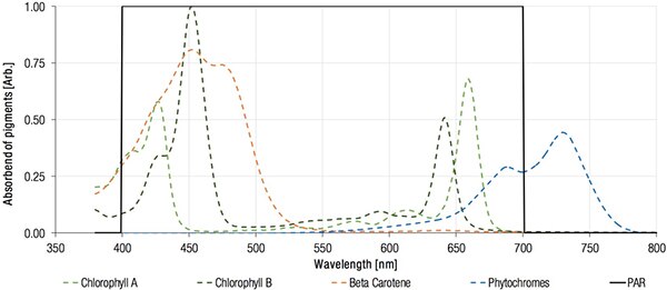 Graph of illumination at wavelengths corresponding to the absorption spectra of various photopigments
