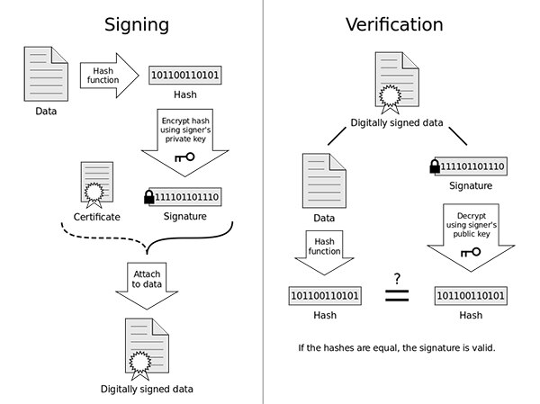 Diagram of private/public key pairs provide the basis for blockchain transaction