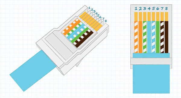 RJ45 连接器中所示的 Same Sky T568B 接线示意图