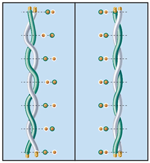 Image of Belden Bonded Pair technology compared with non-bonded construction