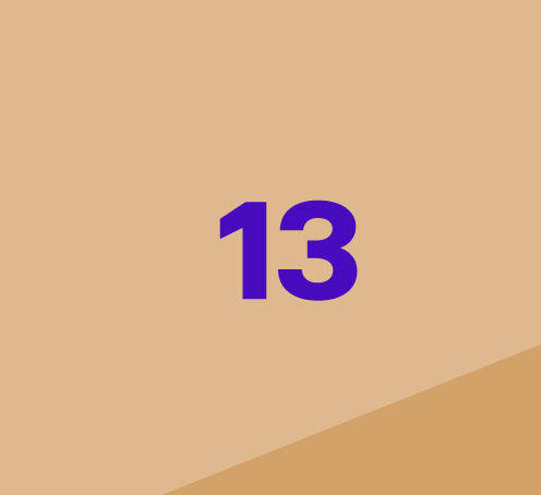 Image of Tech Blind Box Icon 13