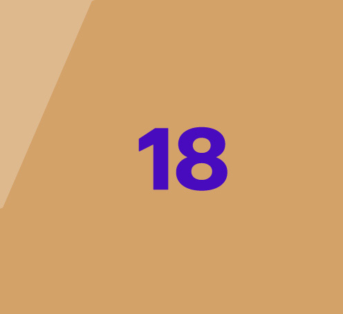 Image of Tech Blind Box Icon 18