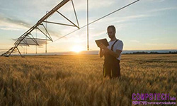 Image of 傳統農業知識與專業搭配創新技術，不僅開創一條不同的前進道路，更是展開農業未來的智慧途徑