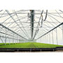 Image of Amphenol's Indoor Growing and Agricultural Sensors