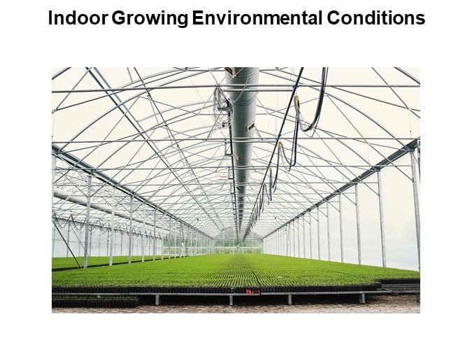 Indoor Growing Environmental Conditions