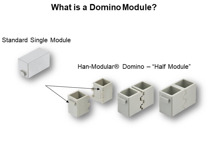 What is a Domino Module?