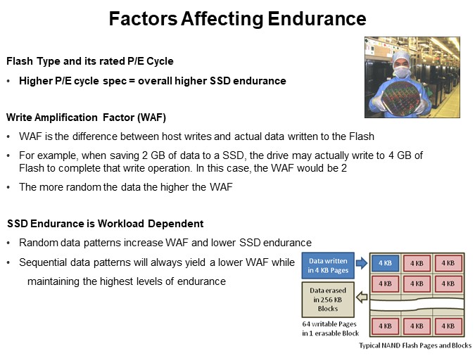 Factors Affecting Endurance