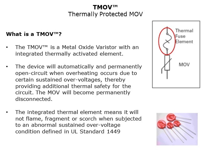 MOV-Slide20