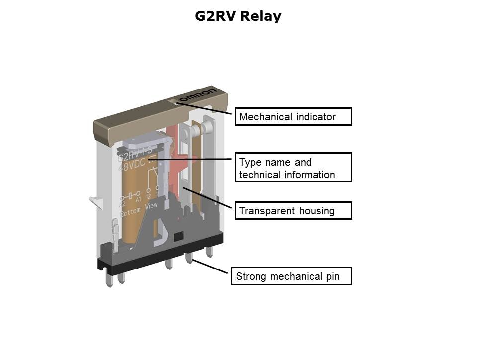 G2RV 6mm Slide 2