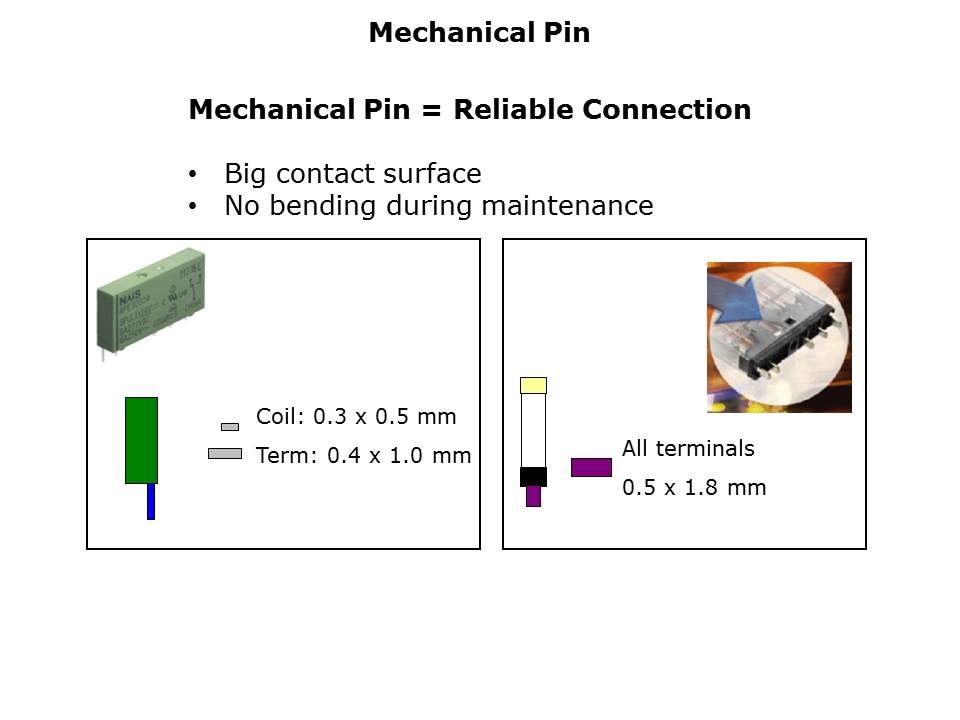 G2RV 6mm Slide 3