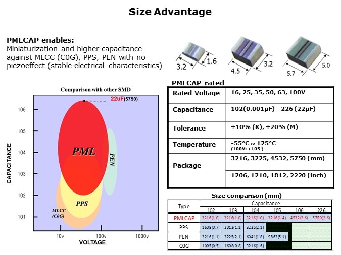 PMLCAP-Slide3