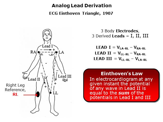 Medical ECG Slide 7