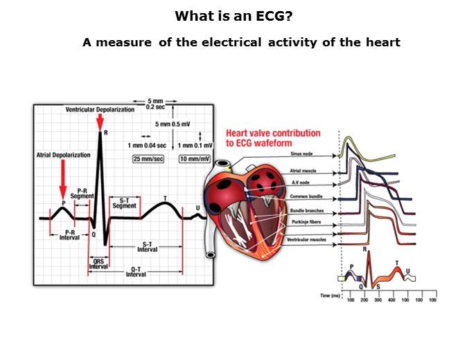 Portable Medical Solutions Slide 23