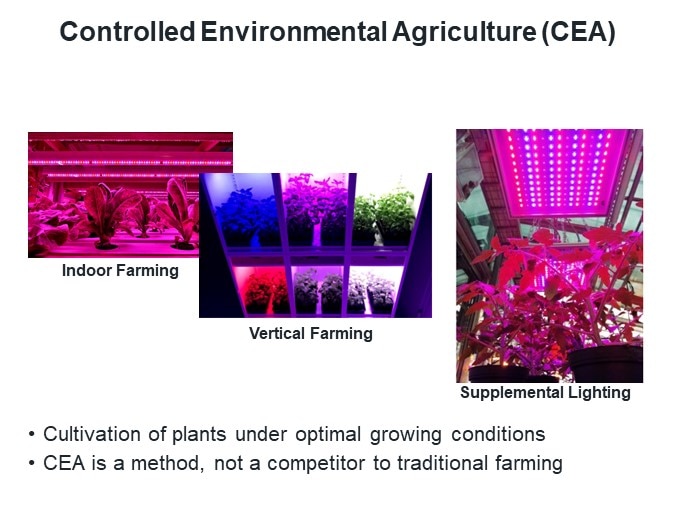 Controlled Environmental Agriculture (CEA)